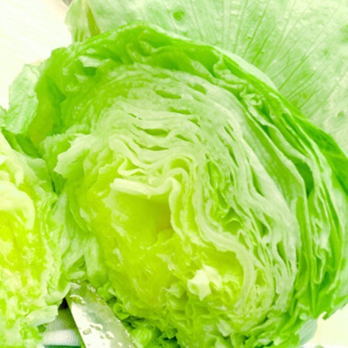 天博官方网站西生菜