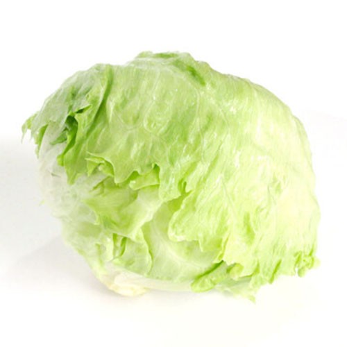 天博官方网站西生菜