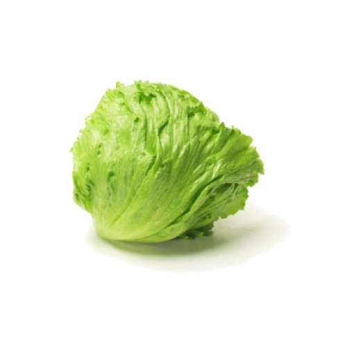 天博官方网站西生菜