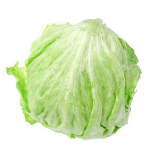 天博官方网站西生菜